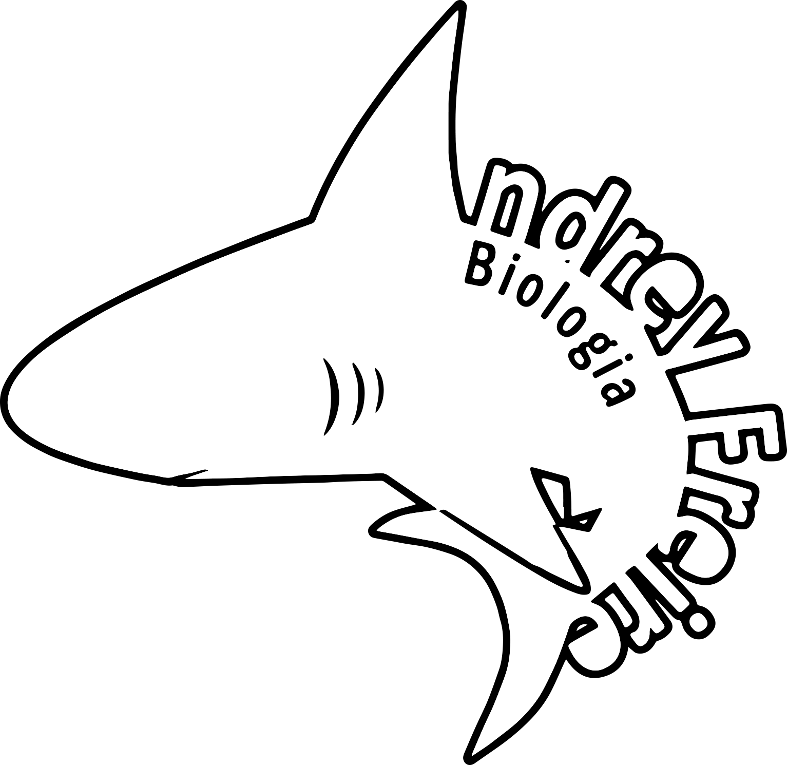 Biologia com o Tubarão